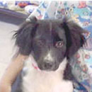 Mia was adopted in January, 2004